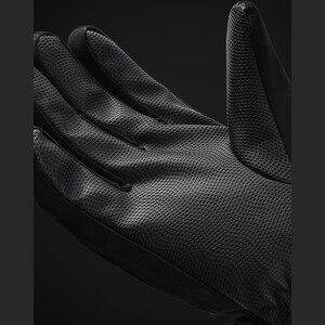 قیمت دستکش اسکی گولووجوی