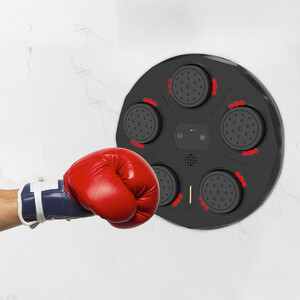 خرید کیسه بوکس دیواری