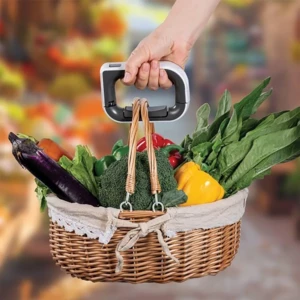 قیمت ترازوی چمدانی گرین لاین
