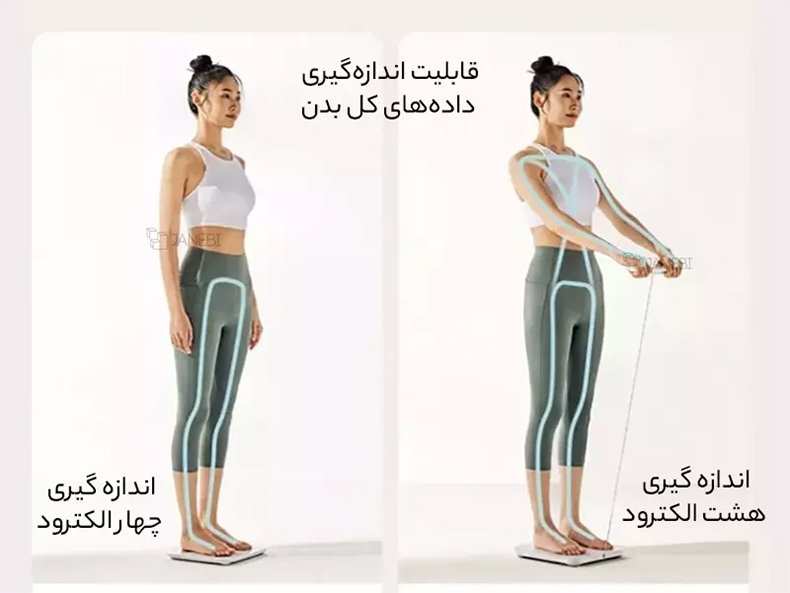 ترازو برای تجزیه تحلیل دقیق کل بدن