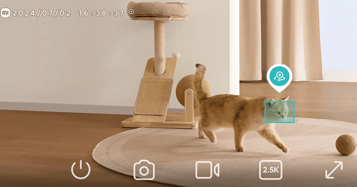 تشخیص حرکت حیوان خانگی با دوربین