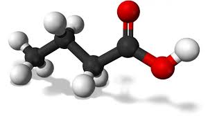 اسید چرب سویا (Soybean Fatty Acid) چیست و چه کاربردی دارد