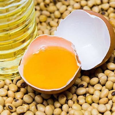 فروش لسیتین (Lecithin) در تهران - آریانا شیمی