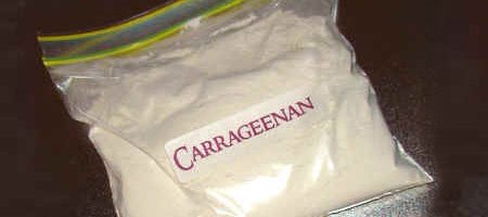 همه چیز درباره کاراگینان (carrageenan) و کاربردهای آن - آریانا شیمی