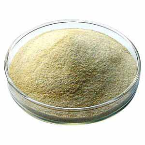 همه چیز درباره آلژینات سدیم (Sodium Alginate) و کاربردهای آن