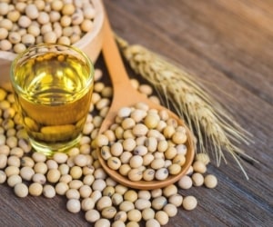 همه چیز درباره اسید چرب سویا (Soybean Fatty Acid) - آریانا شیمی