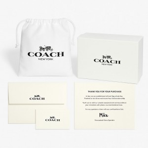کیف زنانه چرمی Coach مدل Saddle