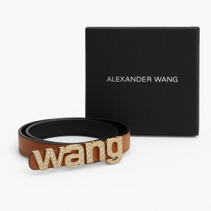 کمربند زنانه ALEXANDER WANG – طراحی جسورانه با جزئیات درخشان