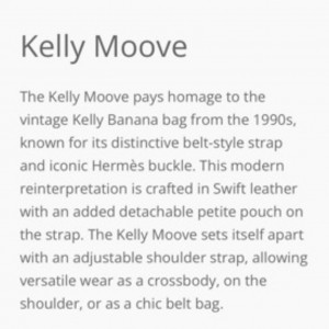 کیف هرمس مدل Kelly Mooove – شیک، کاربردی، مدرن