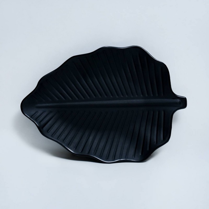 دیس مدل برگ ملامین 2014