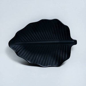 دیس مدل برگ ملامین 2014