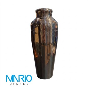 شیکر استیل پاریزین 550 میل
