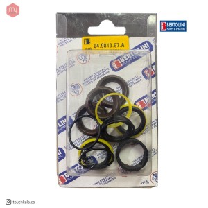 پکینگ پمپ کارواش برتولینی 110 بار اصلی