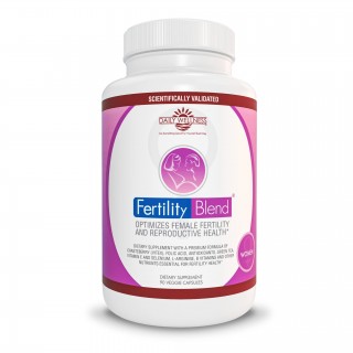 مکمل باروری Fertility Blend (90 عددی)