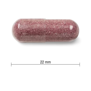 کپسول سلامت مجاری کرن بری Jamieson Cranberry 500mg جیمیسون  (60 عددی)