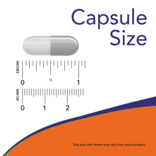 کپسول تقویتی مفاصل NOW MSM 1000mg (120 عددی)