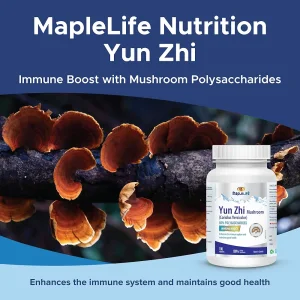 کپسول تقویت سیستم ایمنی بدن قارچ یان جی MapleLife Yun Zhi Mushroom 400mg (100 عددی)