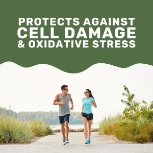 کپسول برگ مورینگا Nanton Moringa Oleifera 450mg (120 عددی)