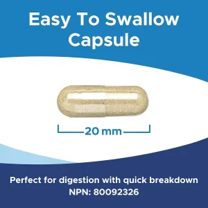 کپسول تقویت سیستم ایمنی بدن قارچ گانودرما MapleLife Reishi Mushroom 500mg (90 عددی)