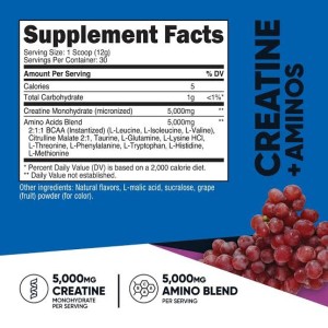 پودر کراتین + آمینو نوتریکاست Nutricost Creatine + Amino Powder 5000mg (372 گرمی)
