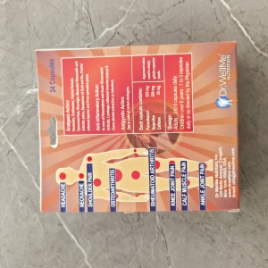کسپول ضد درد پاراستامول ایبوپروفن و کافئین دکتر ولمی Dr.Wellme Pain Quest Parasetamol & Ibuprofen & Coffeine (24 عددی)