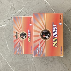 کسپول ضد درد پاراستامول ایبوپروفن و کافئین دکتر ولمی Dr.Wellme Pain Quest Parasetamol & Ibuprofen & Coffeine (24 عددی)
