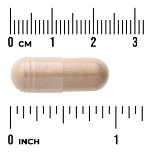 کپسول قارچ طیف کامل تقویت سیستم ایمنی بدن شیتاکه سوانسون Swanson Full Spectrum Shiitake Mushroom 500mg (60 عددی)
