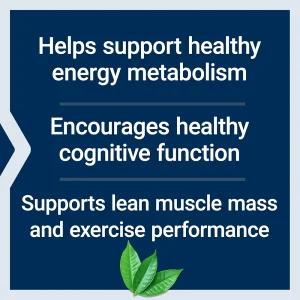 پودر کراتین و استیل-ال-کارنیتین لایف اکستنشن LIFE EXTENSION Creatine & Acetyl-L-Carnitine Energy Plus (233 گرم)