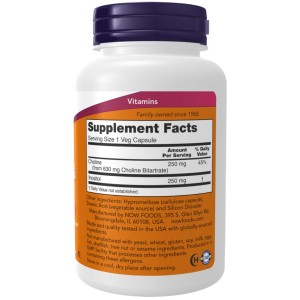 کپسول گیاهی سلامت بدن کولین و اینوزیتول ناو فودز NOW Foods Choline & Inositol (100 عددی)