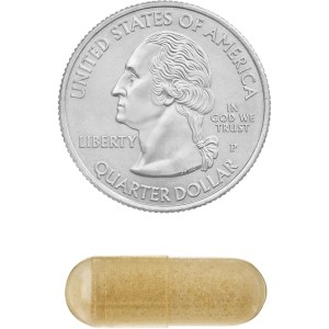 کپسول ناک استیل سیستین اسپرینگ ولی Spring Valley NAC N-Acetyl-L-Cysteine 1000mg (100 عددی)