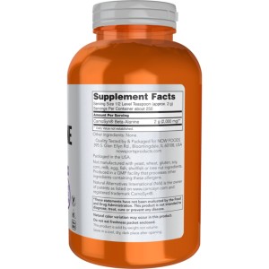 پودر تقویت عضلات بتا آلانین ناو اسپرت NOW Sports Beta-Alanine Powder (500 گرم)