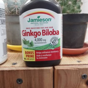 قرص عصاره جینکو بیلوبا Jamieson Ginkgo Biloba 4.000mg جیمیسون (90 عددی)