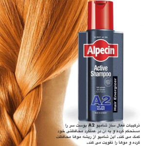 شامپو موی چرب Alpecin Aktiv Shampoo A2 آلپسین (250 میل)