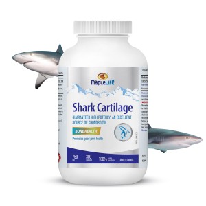 قرص غضروف کوسه Maplelife Shark Cartilage 750mg (300 عددی)