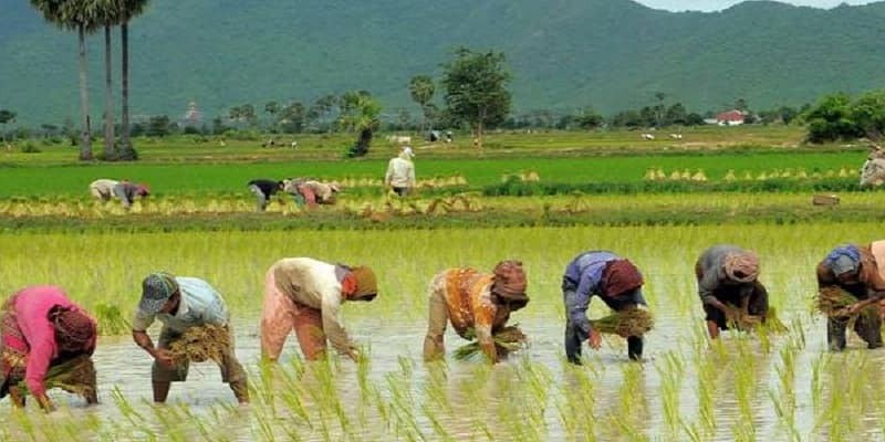 4-لغات و اصطلاحات مازندرانی