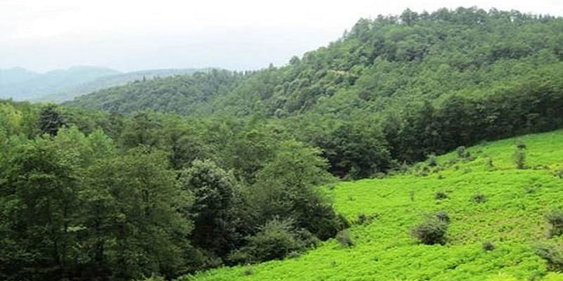 6-سوادکوه طبیعت بی نظیر مازندران