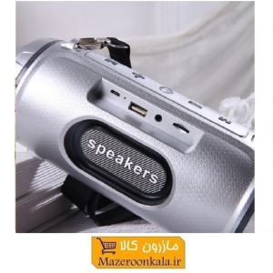 اسپیکر بلوتوث انرجایزر مدل DSM-036  BTS102