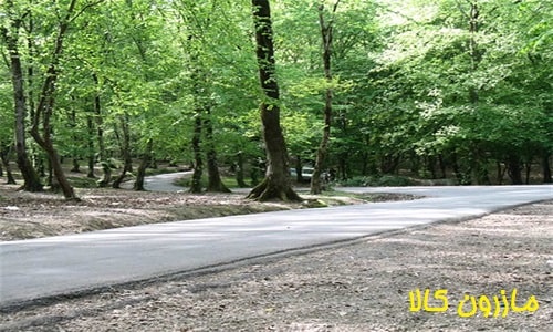 پارک جنگلی تلار Telar Forest