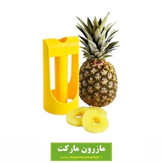 اسلایسر آناناس Easy Slicer پلاستیکی