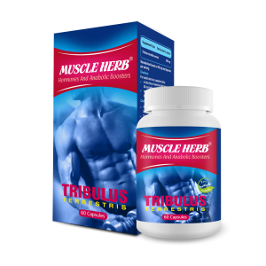 ماسل هرب (تريبولوس )60 كپسول