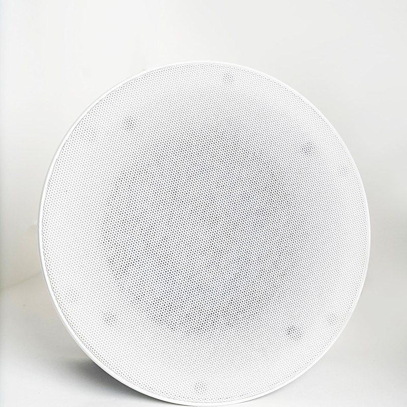 اسپیکر سقفی 100 وات