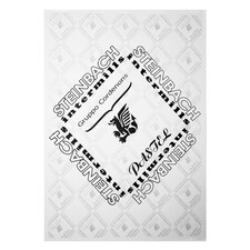 مقوا اشتنباخ کد 155 سایز 21×29.7 سانتی متر (A4) بسته 10 عددی