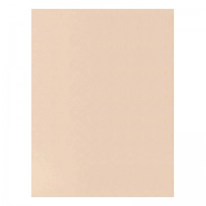 کاغذ طراحی a2 پارس بسته 10 عددی