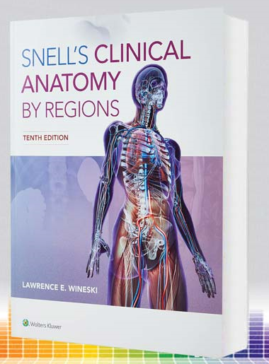 آناتومی اسنل