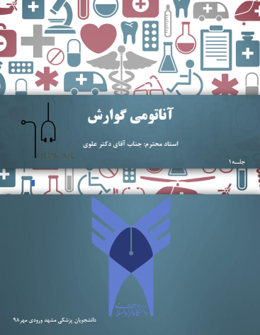 دانلود جزوه آناتومی گوارش دانشگاه مشهد