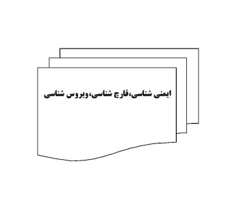 دانلود کتاب ایمنی شناسی قارچ شناسی و ویروس شناسی