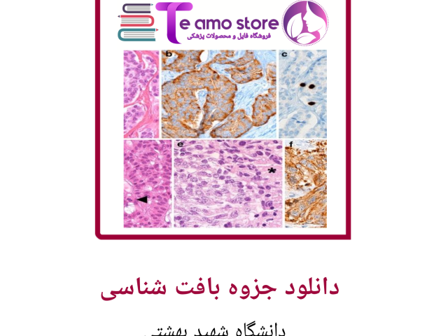 دانلود جزوه بافت شناسی شهید بهشتی