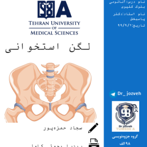 دانلود جزوه آناتومی بلوک کلیوی