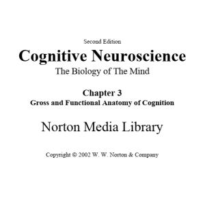 دانلود کتاب کاگنتیو نوروساینس