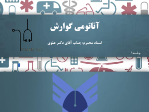 دانلود جزوه آناتومی گوارش دانشگاه مشهد